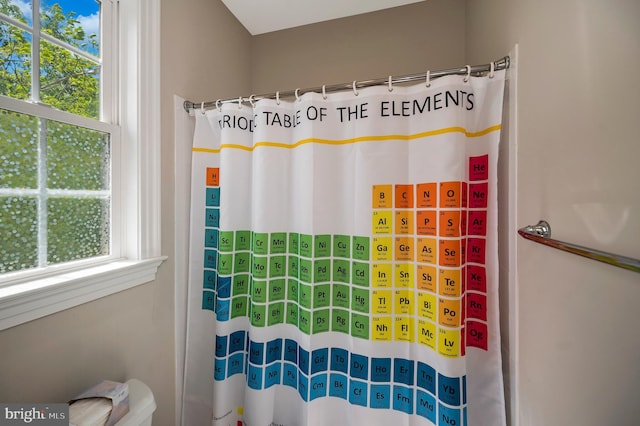 full bath featuring healthy amount of natural light and a shower with curtain