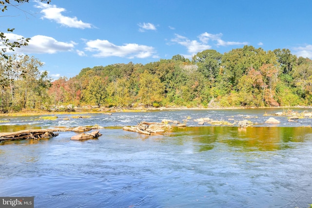 water view featuring a forest