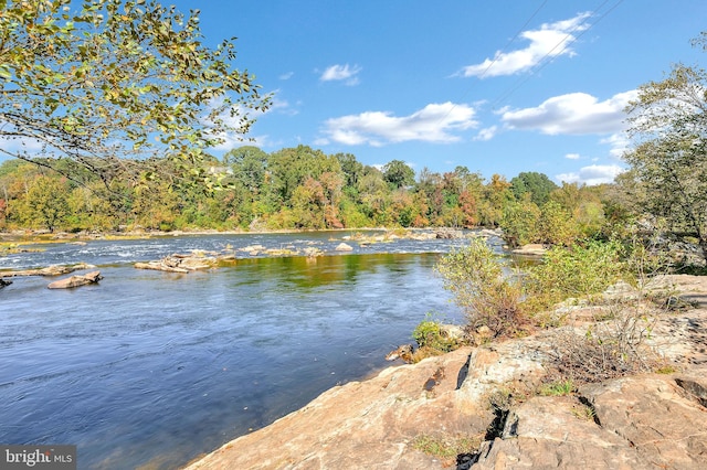 water view featuring a heavily wooded area