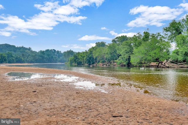 water view featuring a heavily wooded area