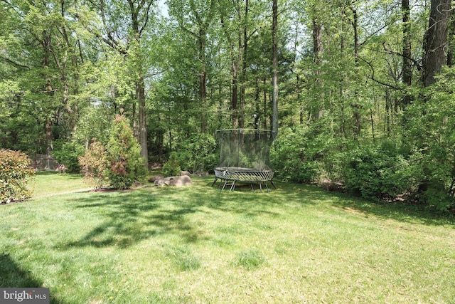 view of yard featuring a trampoline and a wooded view