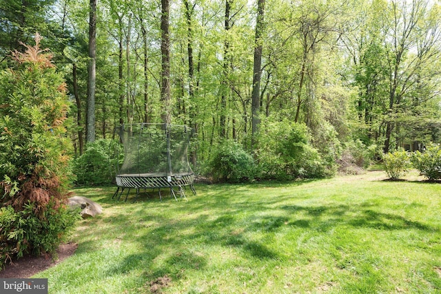 view of yard featuring a trampoline and a forest view