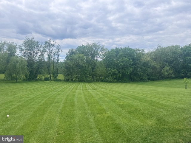 view of grassy yard
