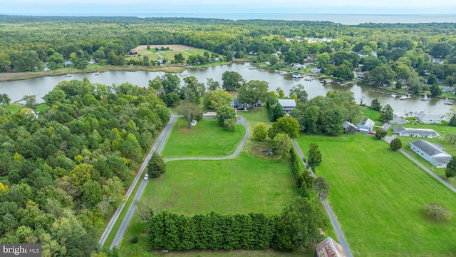 bird's eye view featuring a water view and a view of trees