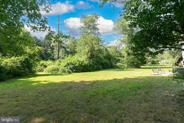 view of grassy yard