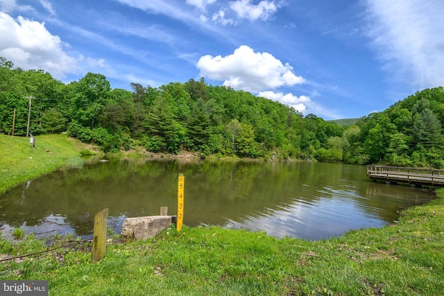 water view with a view of trees