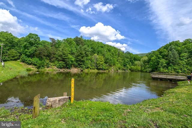 water view featuring a wooded view
