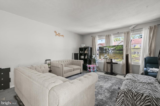 living room featuring carpet