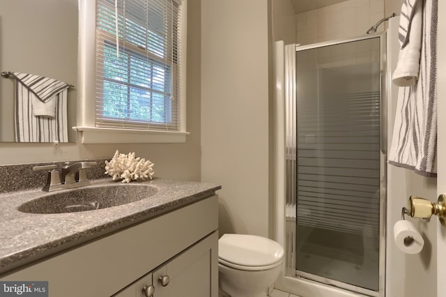 bathroom with vanity, a stall shower, and toilet