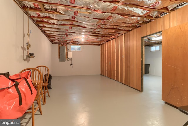 below grade area featuring electric panel and healthy amount of natural light