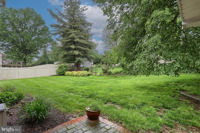 view of yard