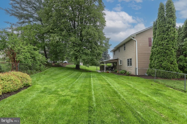 view of yard