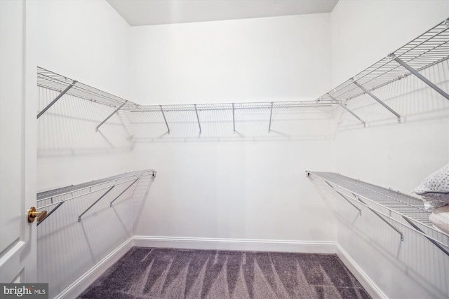 701 Ballast Way, Annapolis, MD 21401 - spacious closet featuring carpet