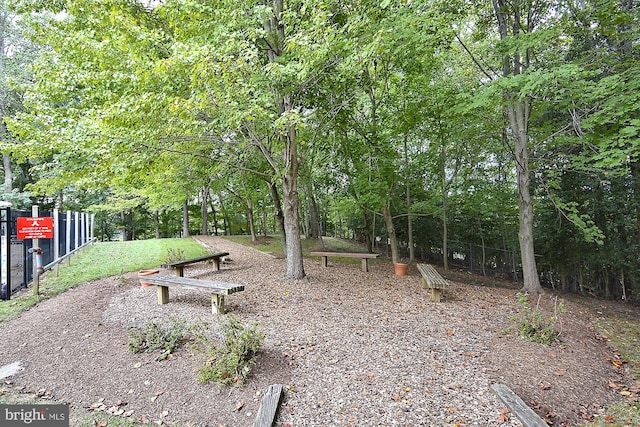 701 Ballast Way, Annapolis, MD 21401 - view of yard