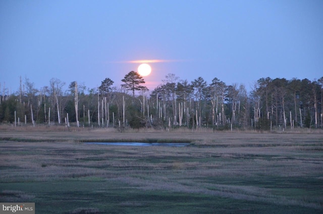 view of nature at dusk