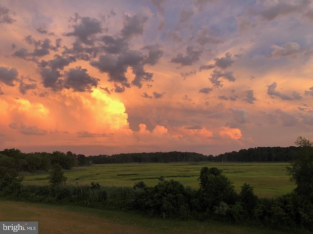 view of local wilderness featuring a rural view