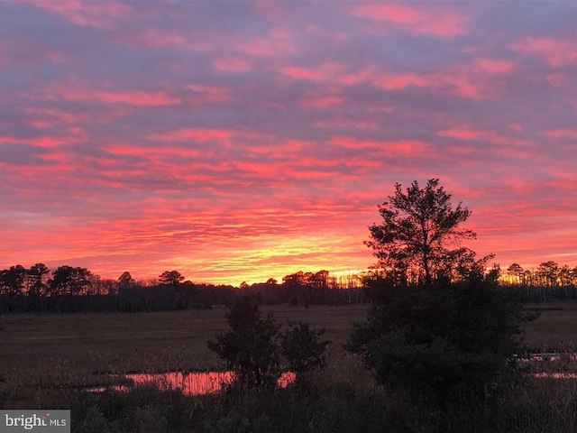 view of nature at dusk