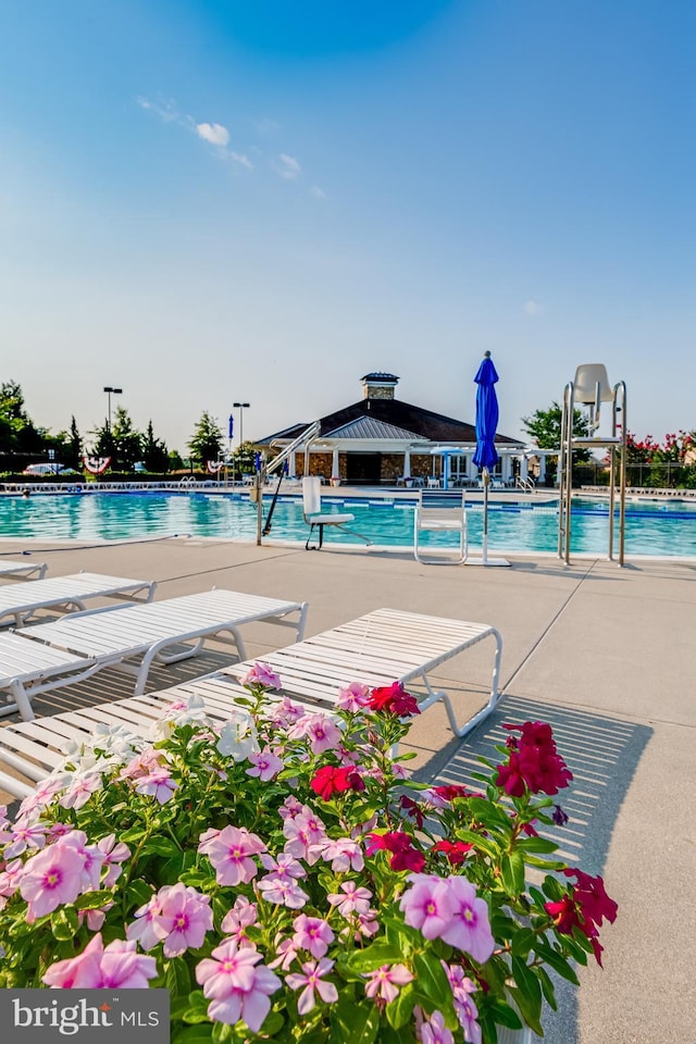 view of community pool