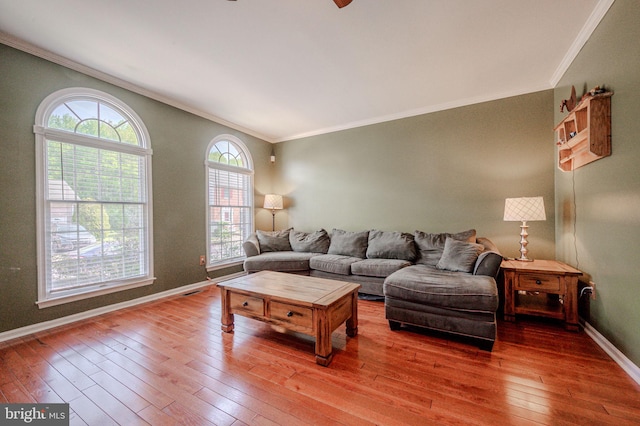 living room with ornamental molding, baseboards, and hardwood / wood-style floors