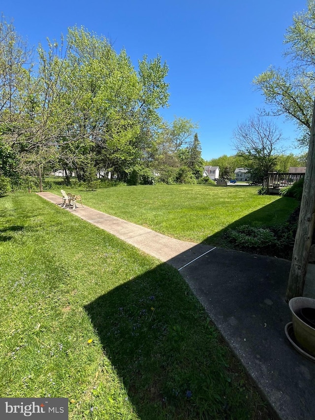 111 Trevanion Rd, Taneytown, MD 21787 - view of grassy yard