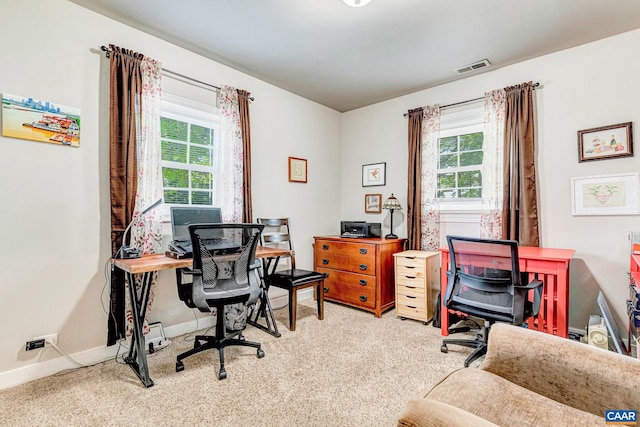 654 Bybee Rd, Louisa, VA 23093 - carpeted home office featuring plenty of natural light and baseboards