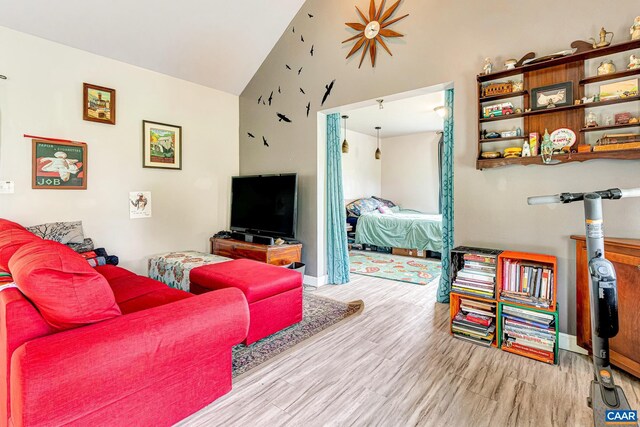 654 Bybee Rd, Louisa, VA 23093 - living area featuring high vaulted ceiling and wood finished floors