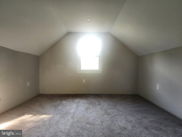 4503 Lasalle Ave, Baltimore, MD 21206 - additional living space featuring carpet flooring and vaulted ceiling