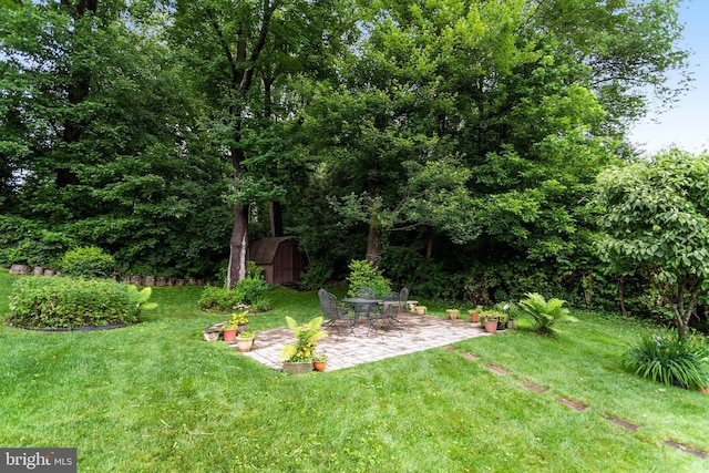 8108 Beech Tree Rd, Bethesda, MD 20817 - view of grassy yard featuring a storage shed and a patio area