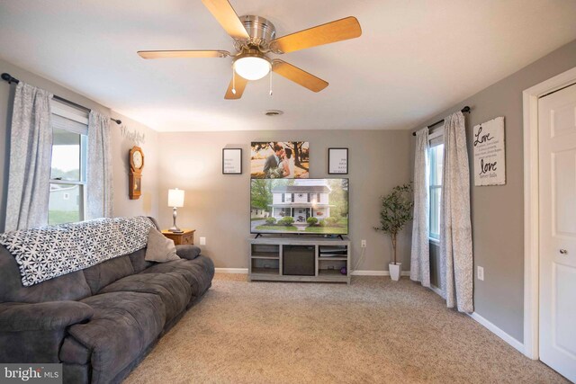 627 Ash St, Strasburg, VA 22657 - living area featuring plenty of natural light, baseboards, and carpet floors
