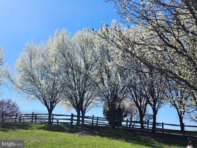 177 Pearce Creek Dr, Earleville, MD 21919 - view of community