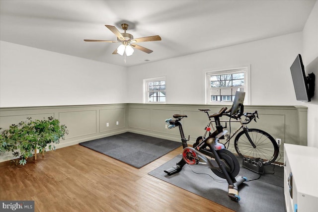 exercise room featuring ceiling fan, wood finished floors, a wainscoted wall, and a decorative wall