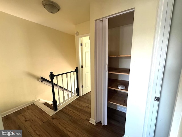 1165 S Division St, Salisbury, MD 21804 - view of closet