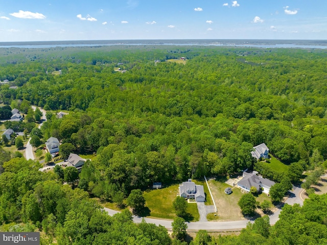 aerial view with a forest view
