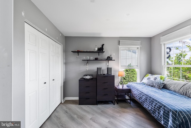 1 Deep Pond Dr, Spring City, PA 19475 - bedroom with wood finished floors, a closet, and baseboards