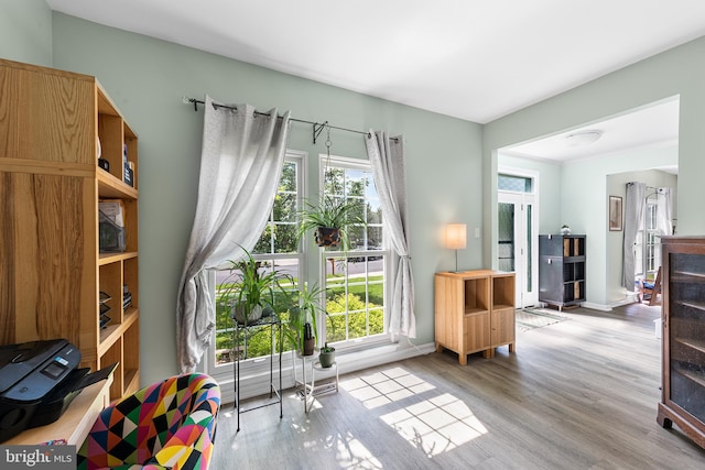 1 Deep Pond Dr, Spring City, PA 19475 - living area featuring light wood-style floors and baseboards