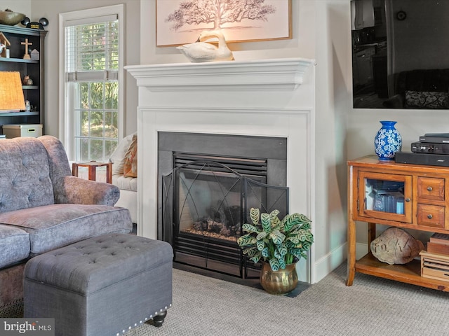 744 Goose Neck Dr, Lititz, PA 17543 - sitting room featuring carpet flooring and a fireplace