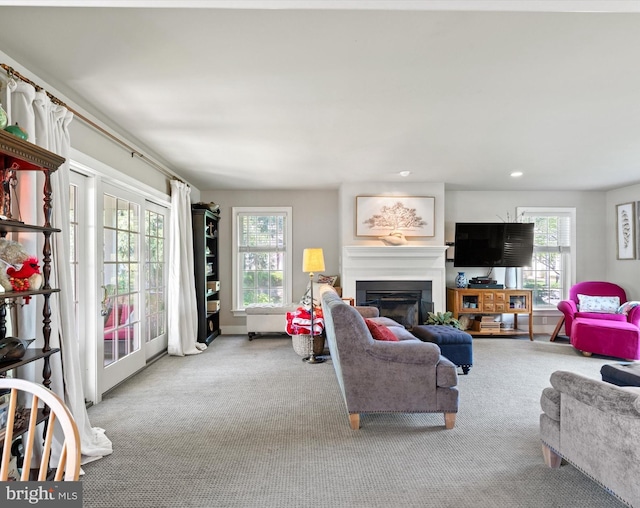 744 Goose Neck Dr, Lititz, PA 17543 - living area featuring carpet floors, healthy amount of natural light, and a glass covered fireplace
