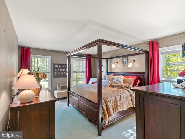 744 Goose Neck Dr, Lititz, PA 17543 - view of carpeted bedroom