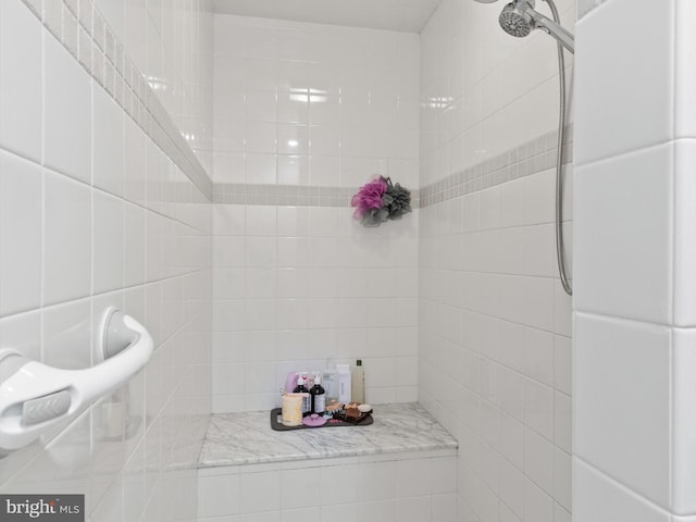 744 Goose Neck Dr, Lititz, PA 17543 - bathroom with tile walls