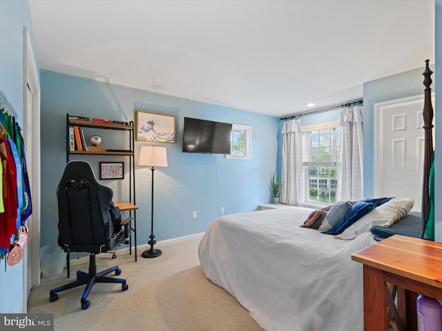 744 Goose Neck Dr, Lititz, PA 17543 - bedroom featuring carpet flooring, baseboards, and a desk