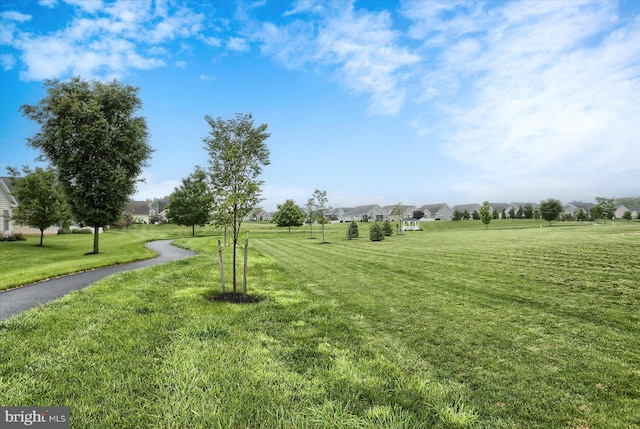 44 Danbury Dr, Mechanicsburg, PA 17050 - view of community featuring a yard