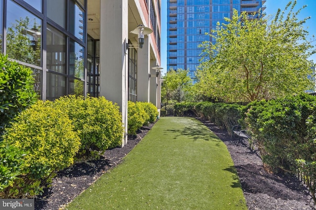 view of yard
