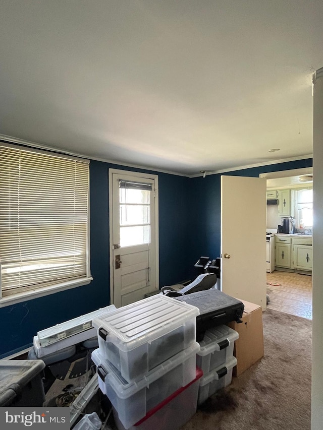 bedroom featuring light colored carpet