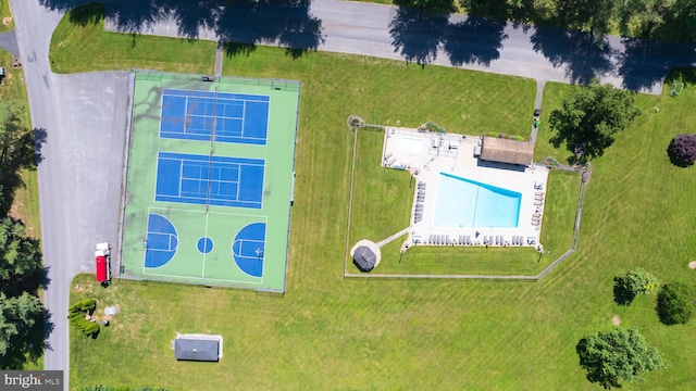 bird's eye view of a pool