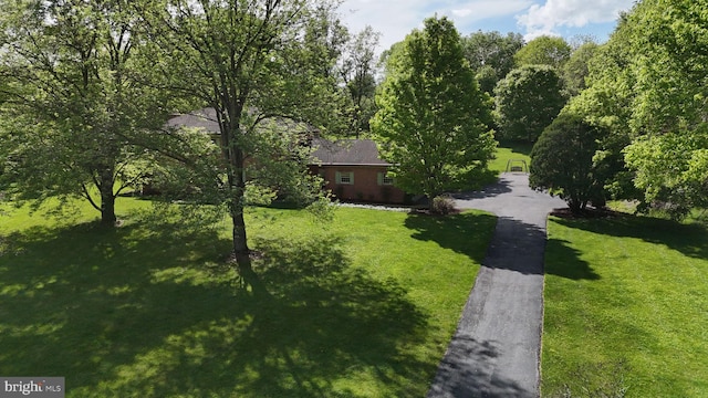 view of grassy yard