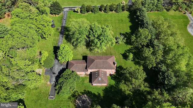 bird's eye view