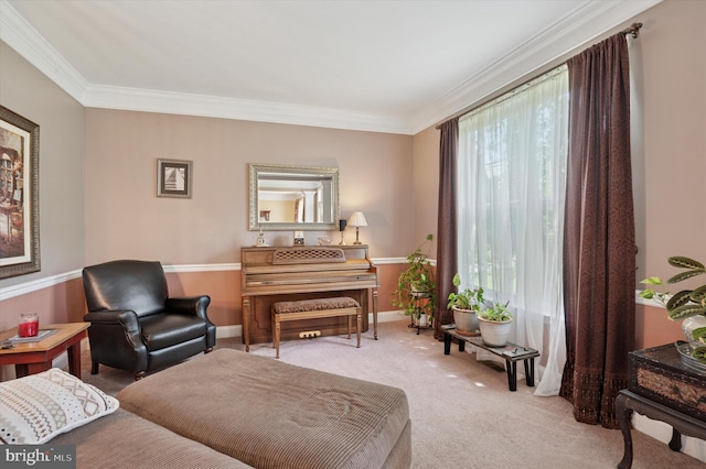 living area featuring baseboards, carpet floors, and ornamental molding