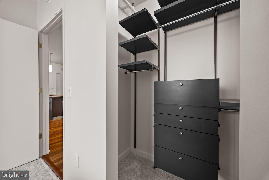 spacious closet with carpet