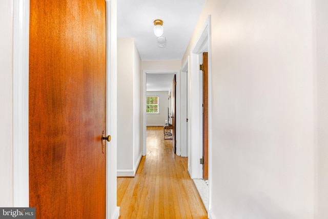 1417 Glendale Rd, Baltimore, MD 21239 - hallway with light wood-type flooring and baseboards