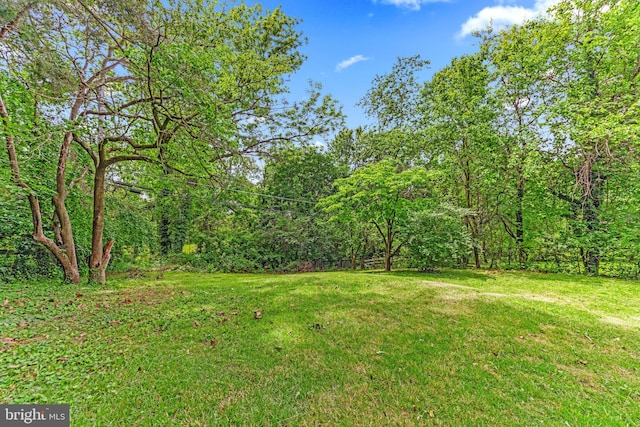 1417 Glendale Rd, Baltimore, MD 21239 - view of green lawn with a wooded view